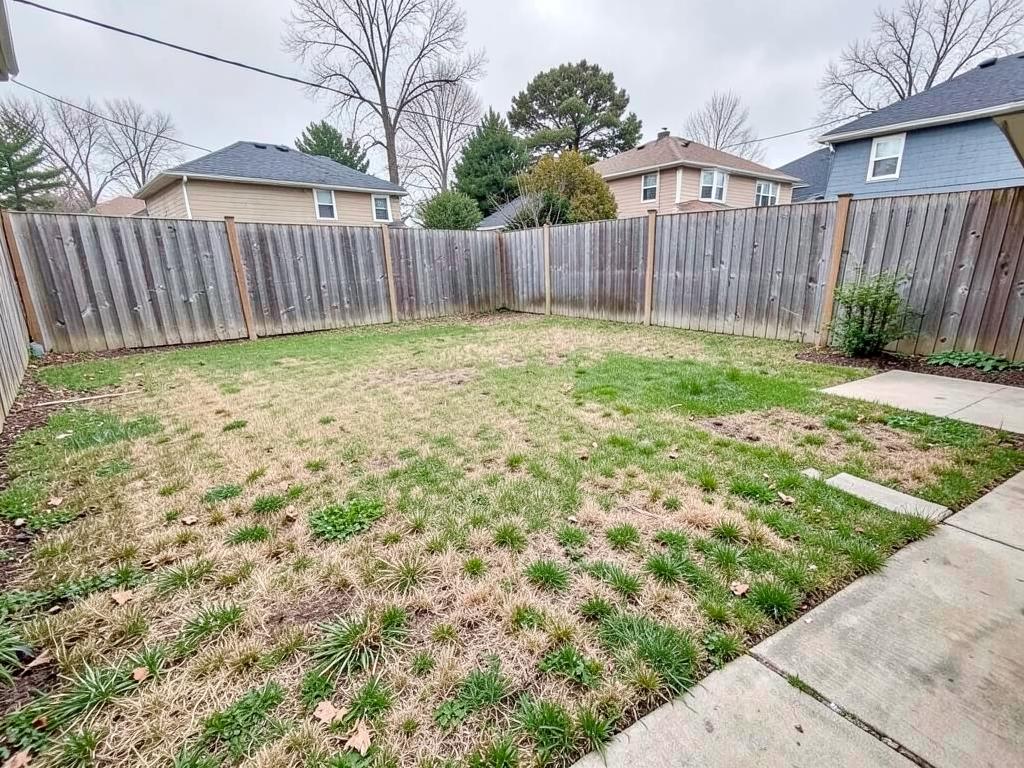 Before — a typical backyard